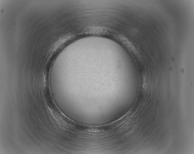 X0000085210636200703161220