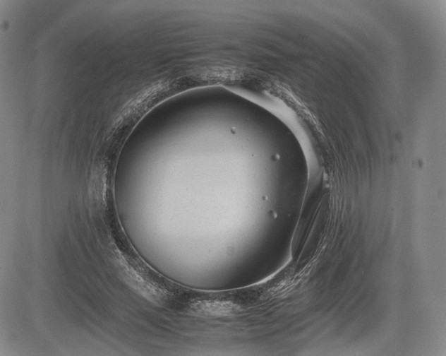 X0000085210637200703161220