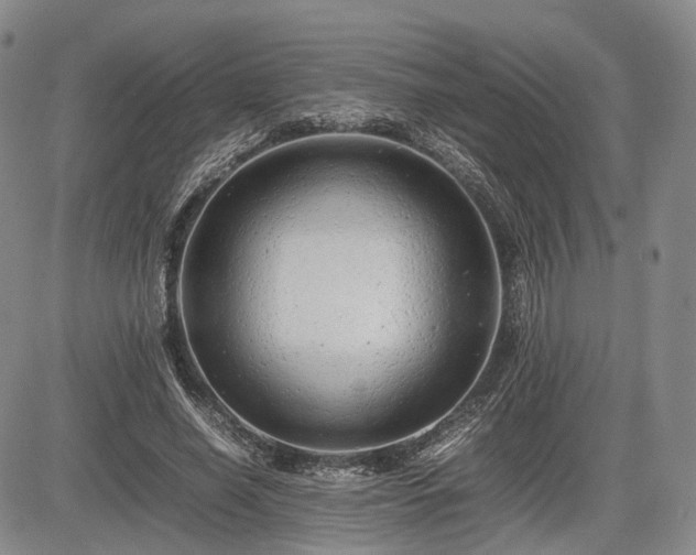 X0000085210638200703161220