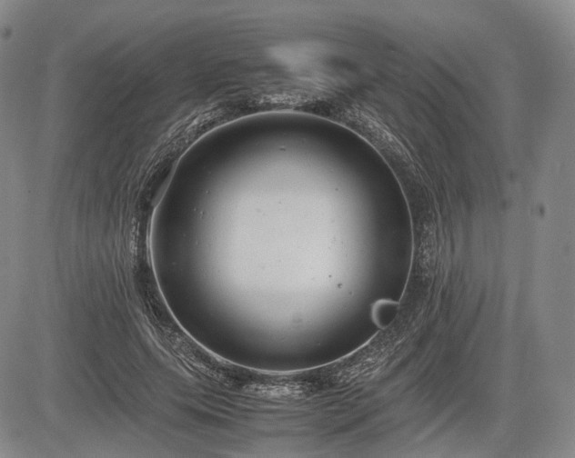 X0000085210639200703161220