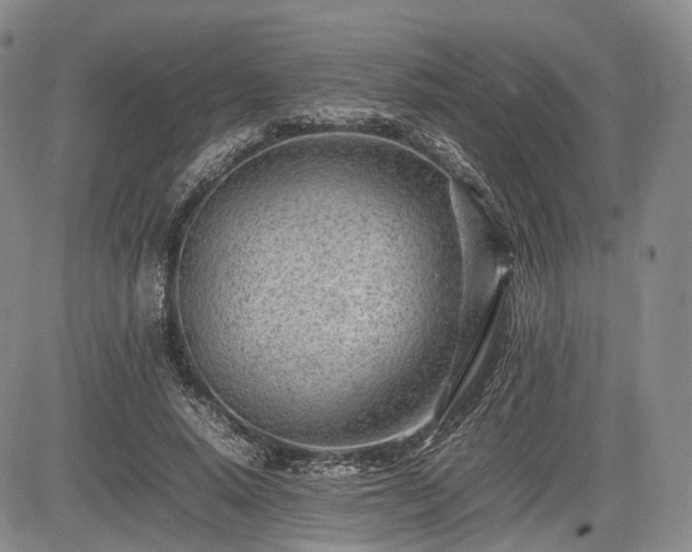 X0000085210640200703161220