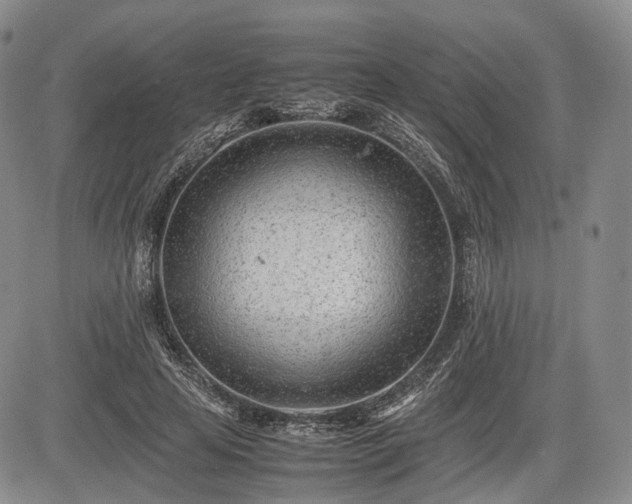 X0000085210641200703161220