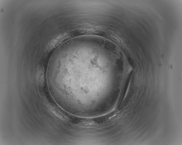 X0000085210642200703161220