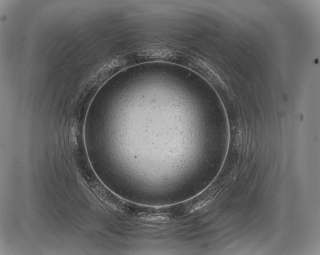 X0000085210643200703161220