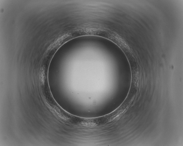 X0000085210644200703161220