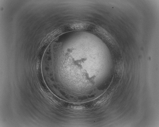 X0000085210645200703161220