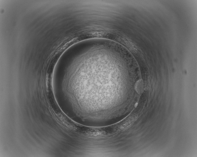 X0000085210646200703161220