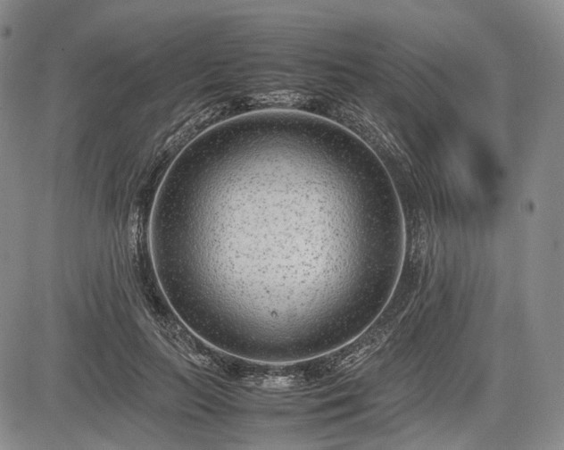 X0000085210647200703161220