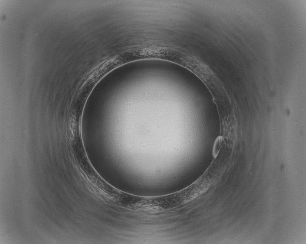 X0000085210648200703161220