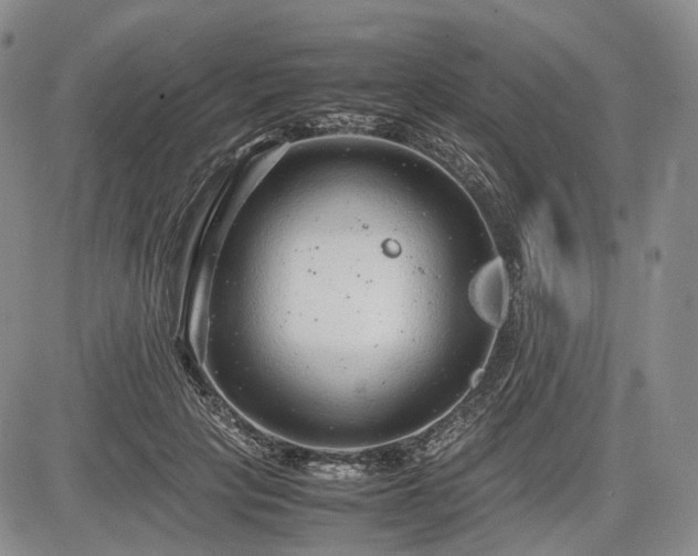 X0000085210649200703161220