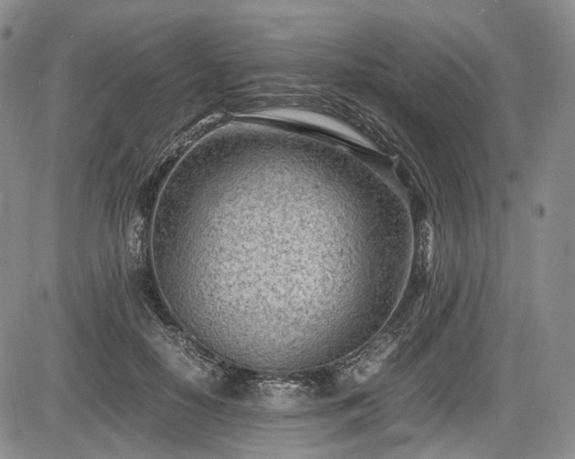 X0000085210650200703161220