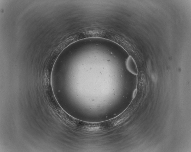 X0000085210651200703161220