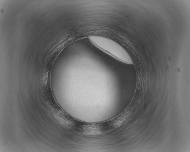 X0000085210652200703161220