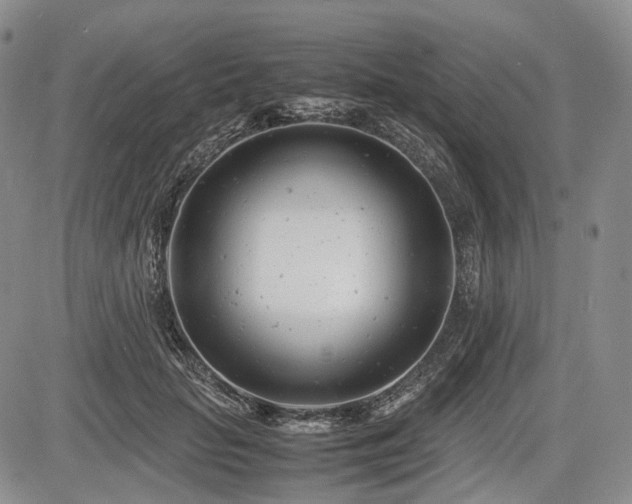 X0000085210653200703161220