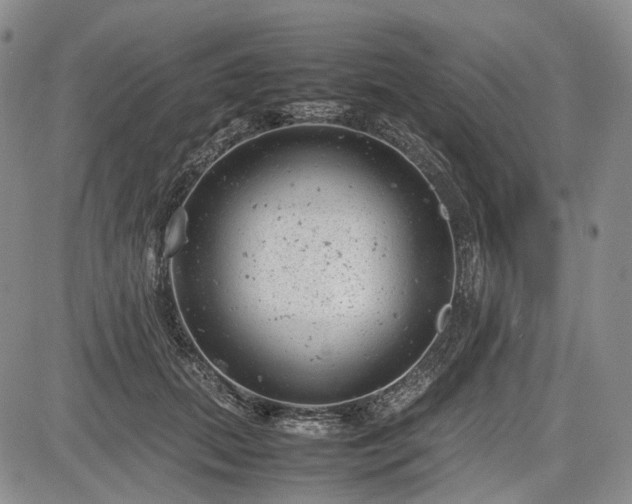 X0000085210655200703161220