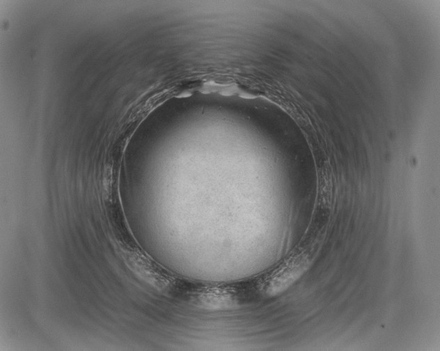 X0000085210656200703161220