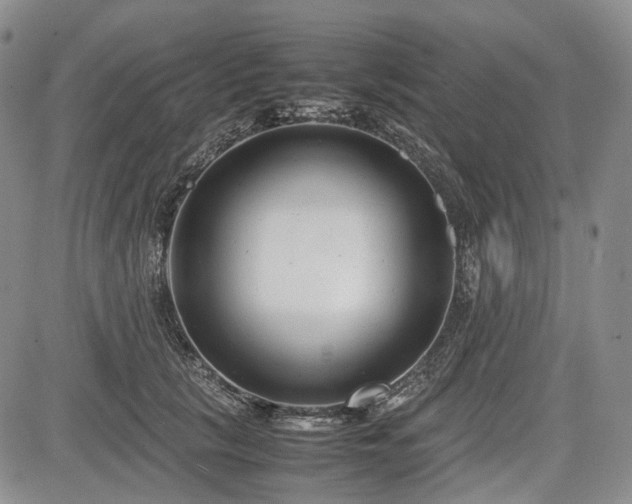 X0000085210657200703161220