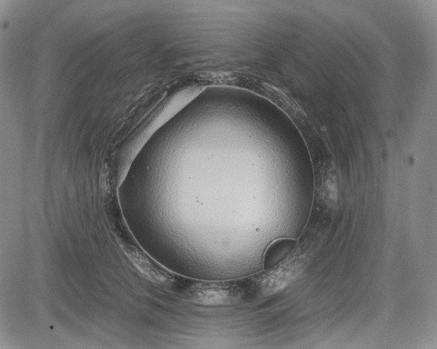 X0000085210658200703161220