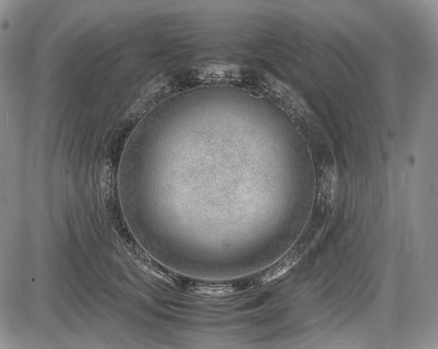 X0000085210659200703161220