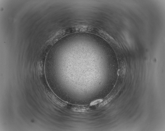 X0000085210661200703161220