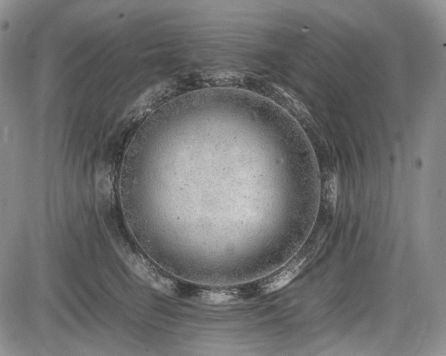 X0000085210662200703161220