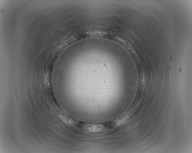 X0000085210663200703161220