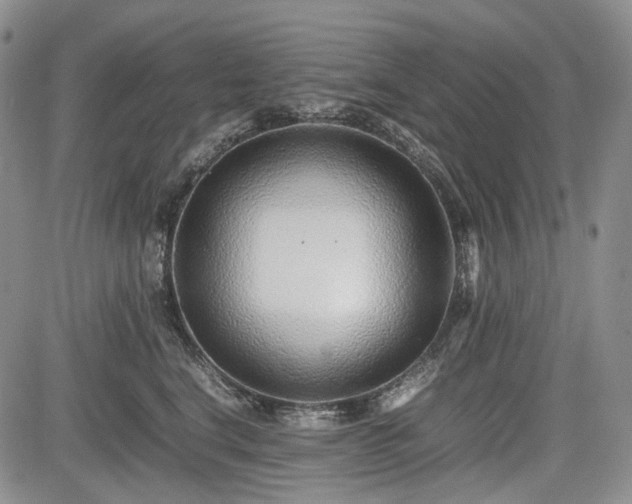 X0000085210664200703161220