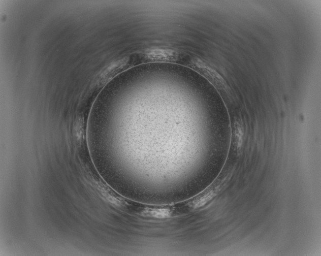 X0000085210665200703161220