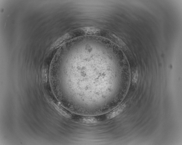 X0000085210666200703161220