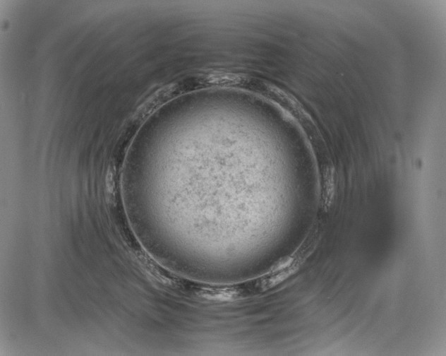 X0000085210667200703161220