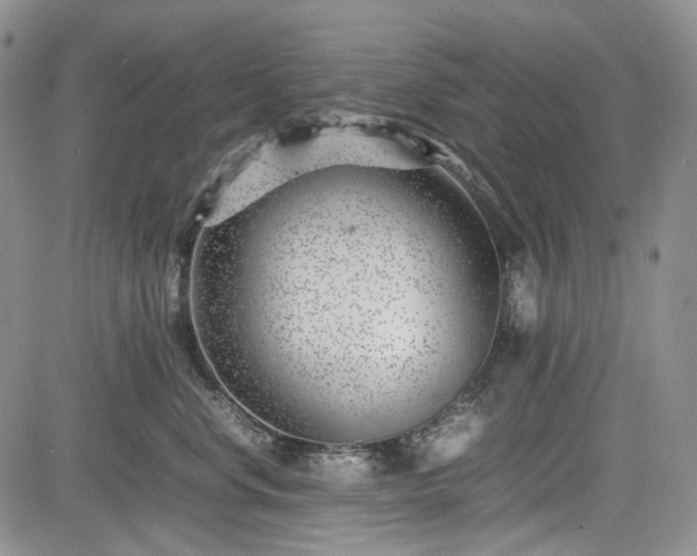 X0000085210668200703161220