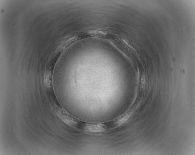 X0000085210671200703161220