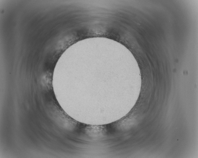 X0000085210672200703161220