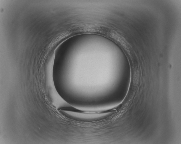 X0000085210673200703161220