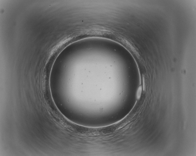 X0000085210675200703161220