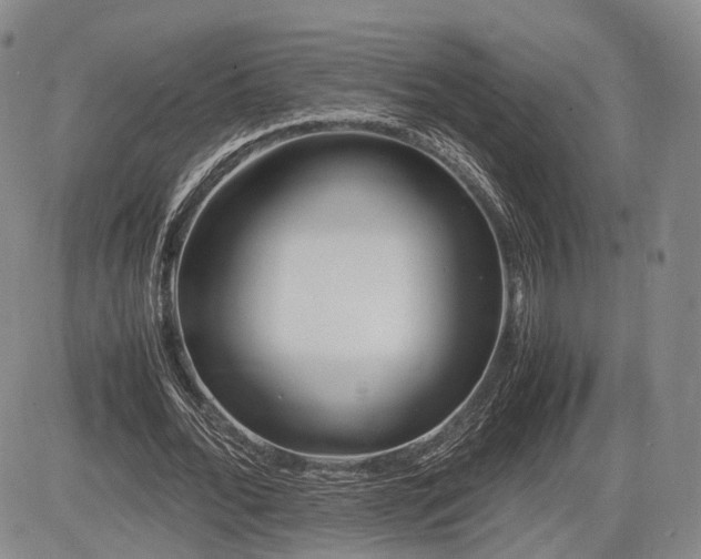 X0000085210676200703161220