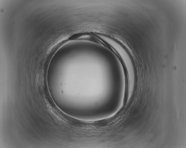 X0000085210677200703161220