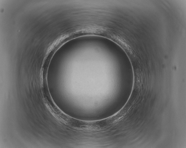 X0000085210678200703161220