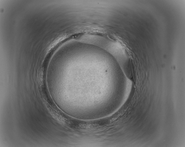 X0000085210679200703161220