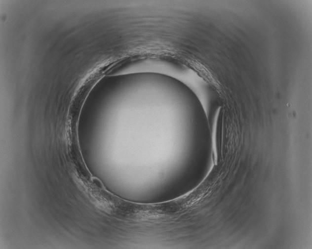 X0000085210680200703161220