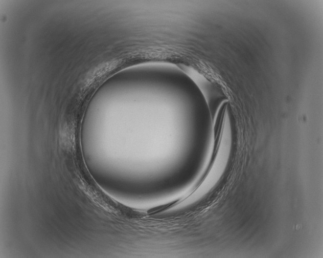 X0000085210681200703161220