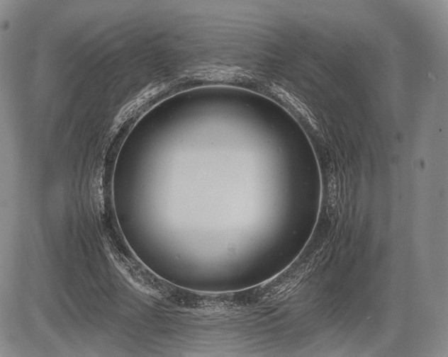 X0000085210682200703161219