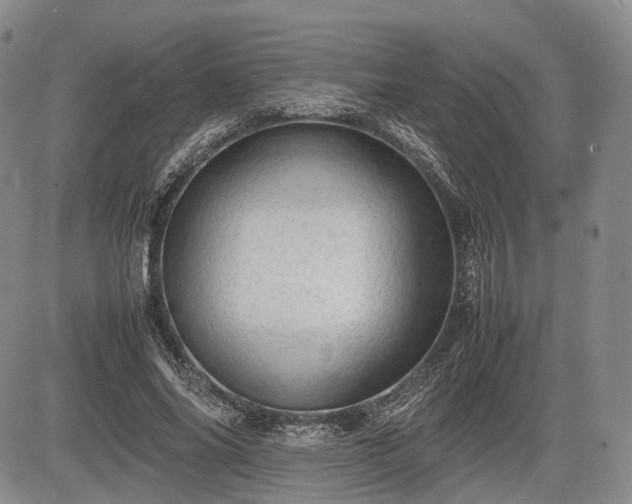 X0000085210686200703161219