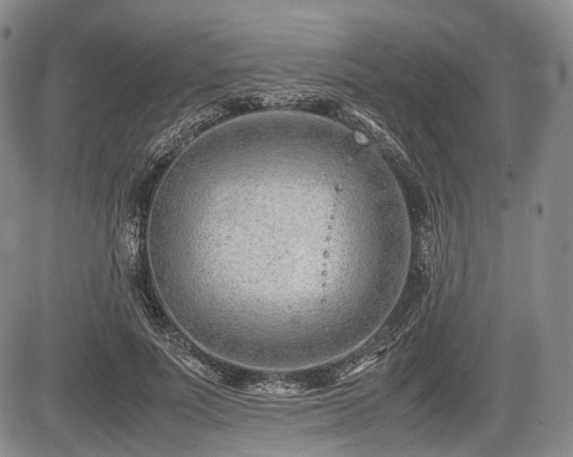 X0000085210691200703161219