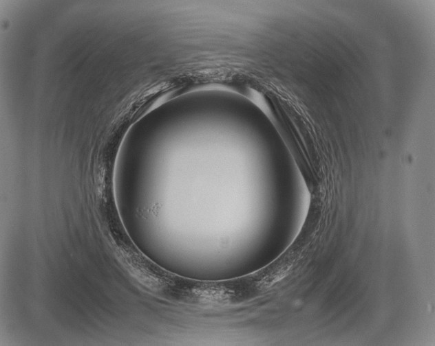 X0000085210693200703161219