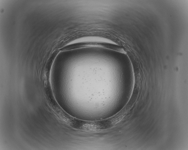 X0000085210699200703161219