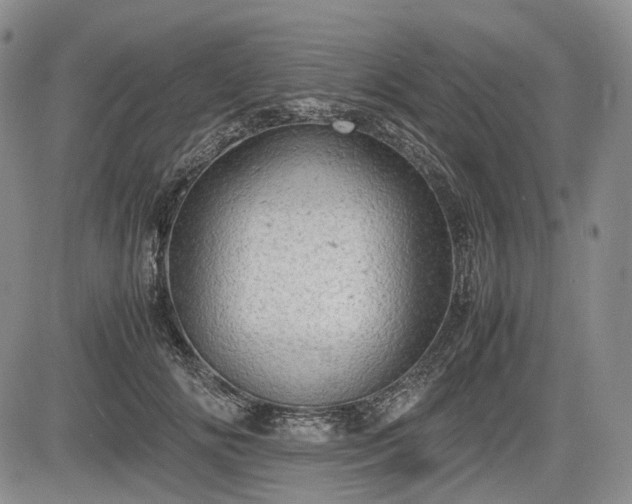 X0000085210702200703161219