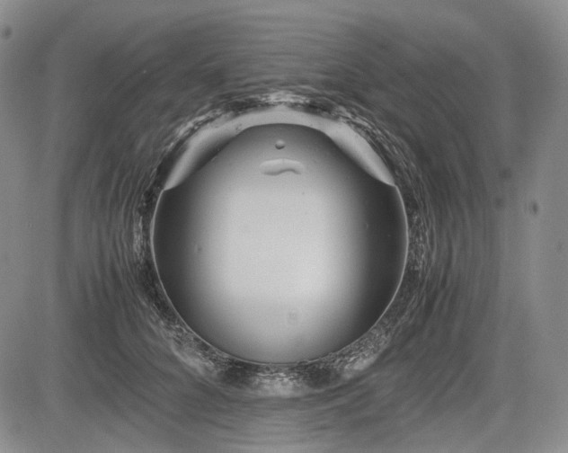 X0000085210704200703161219