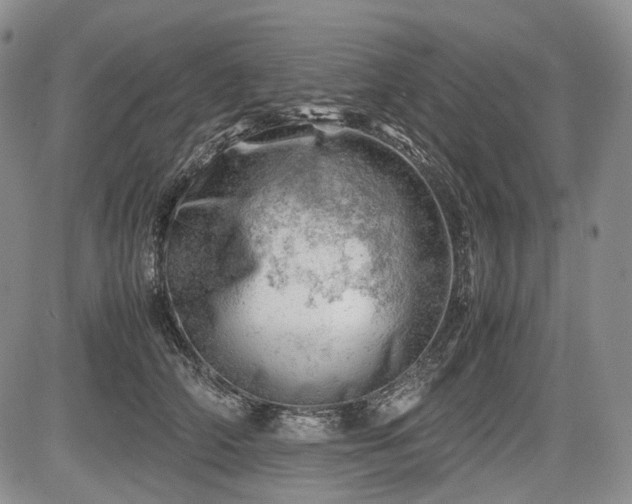 X0000085210706200703161219