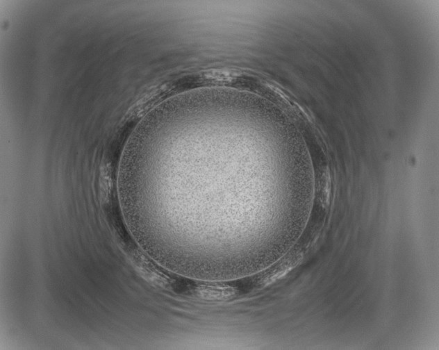 X0000085210707200703161219